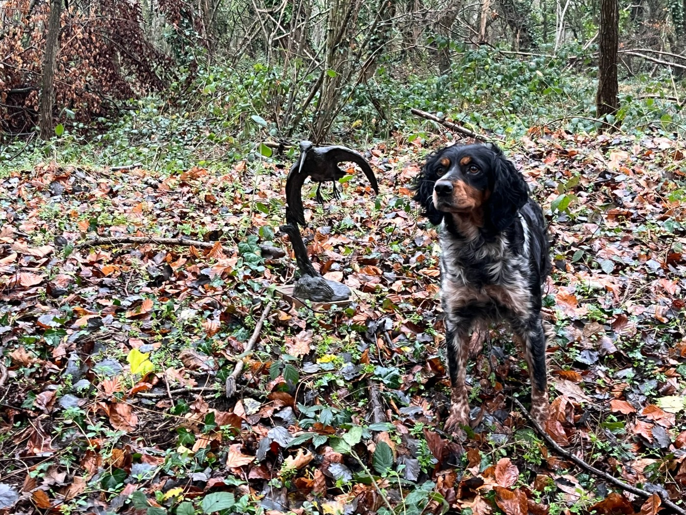 Challenge de Callac 2025