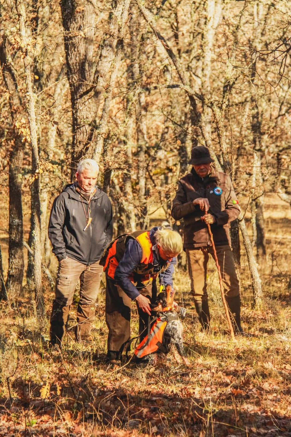 AICEB Bécasse 2025 - Soria, Espagne