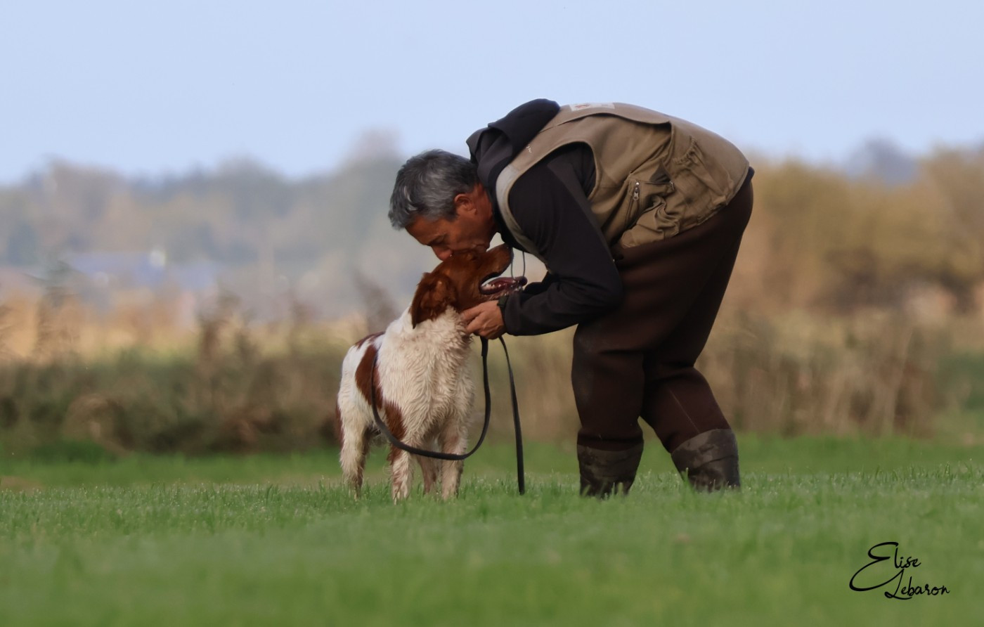Trophée d'Armorique et Clochette d'Or 2025